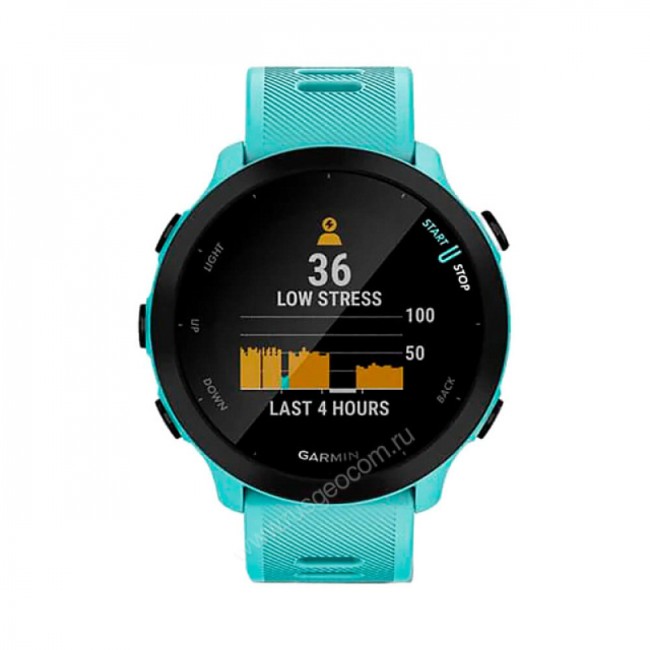 Часы Garmin Forerunner 55 аква Часы Garmin Forerunner 55 аква