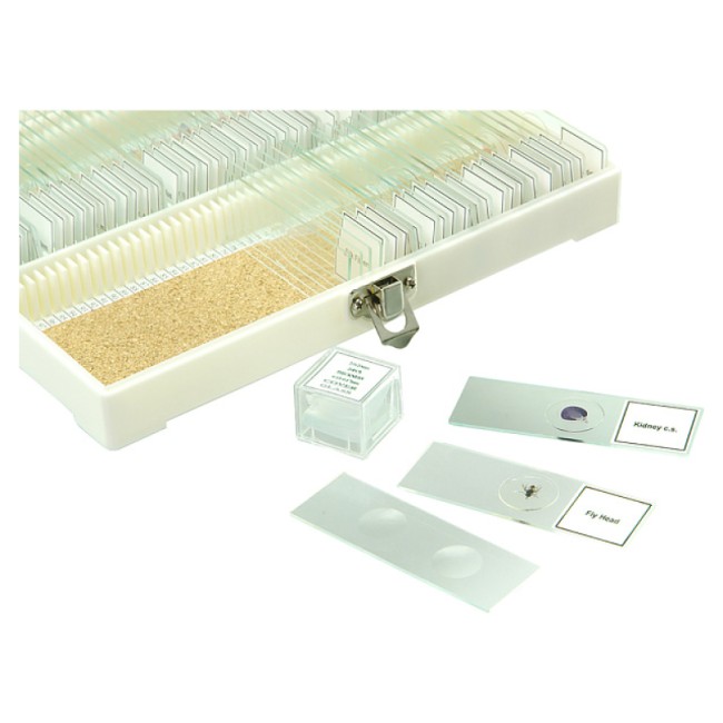 Набор микропрепаратов Микромед №80 Набор микропрепаратов Микромед №80